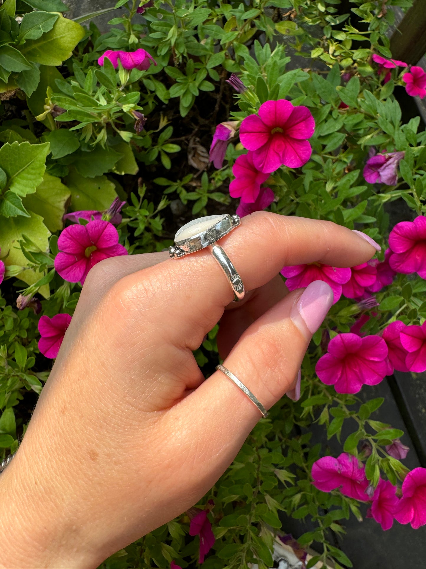Cowrie Shell Ring no. 3 - Size 6 1/4