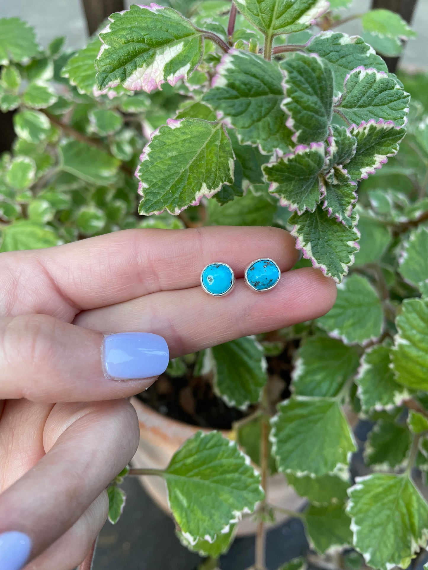 Simple Kingman Turquoise Studs
