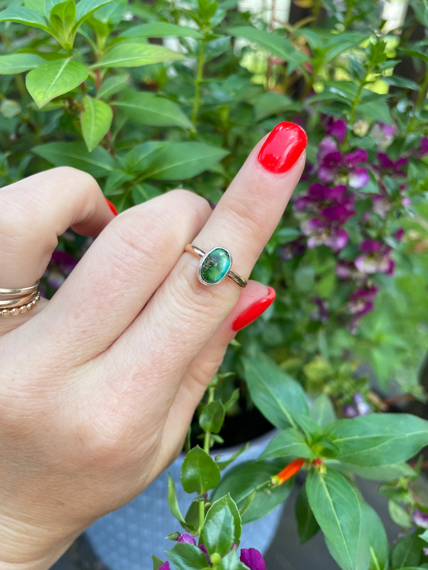Sonoran Gold Turquoise Ring - Size 5 1/4