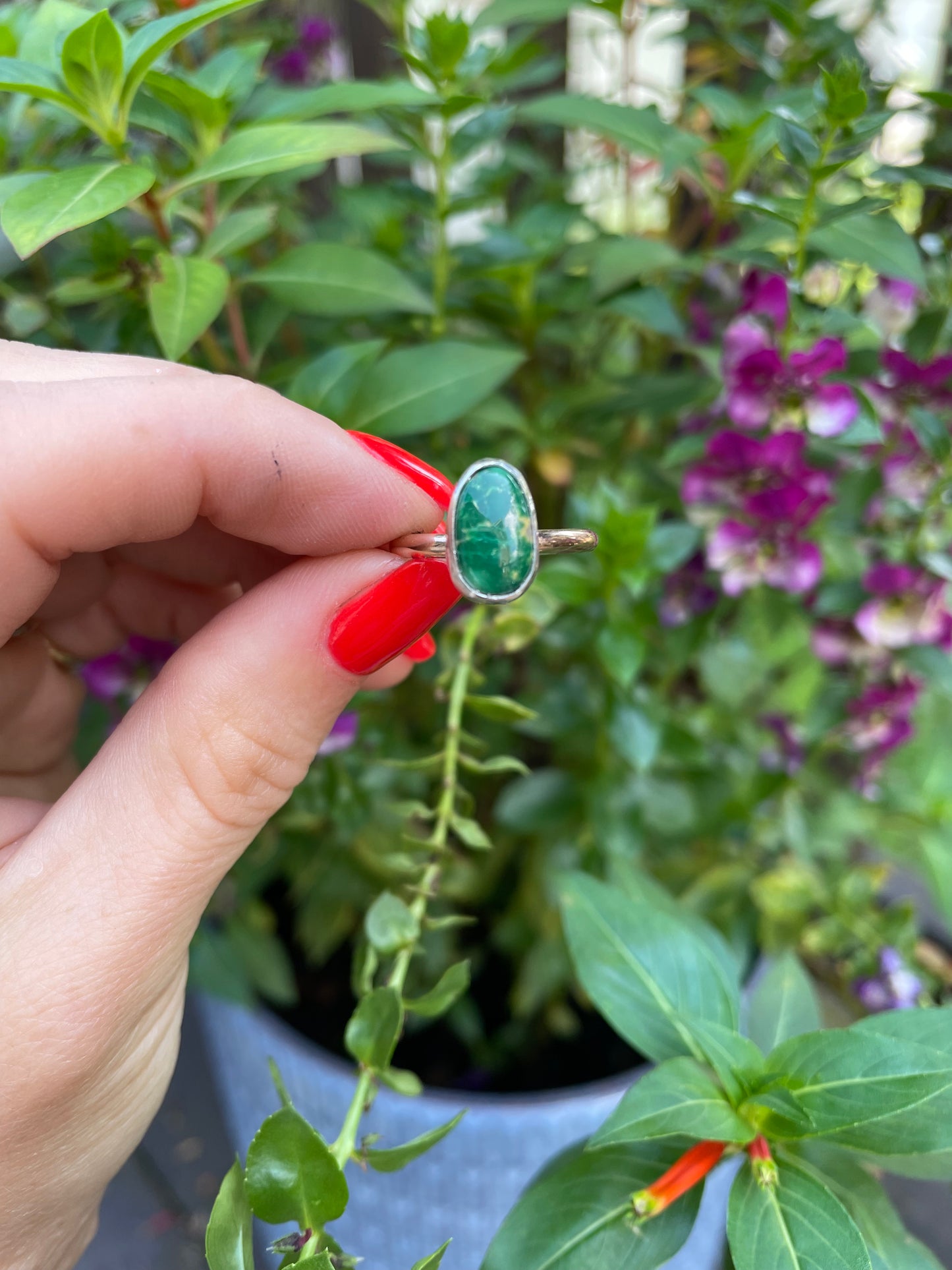 Sonoran Gold Turquoise Ring - Size 6 3/4