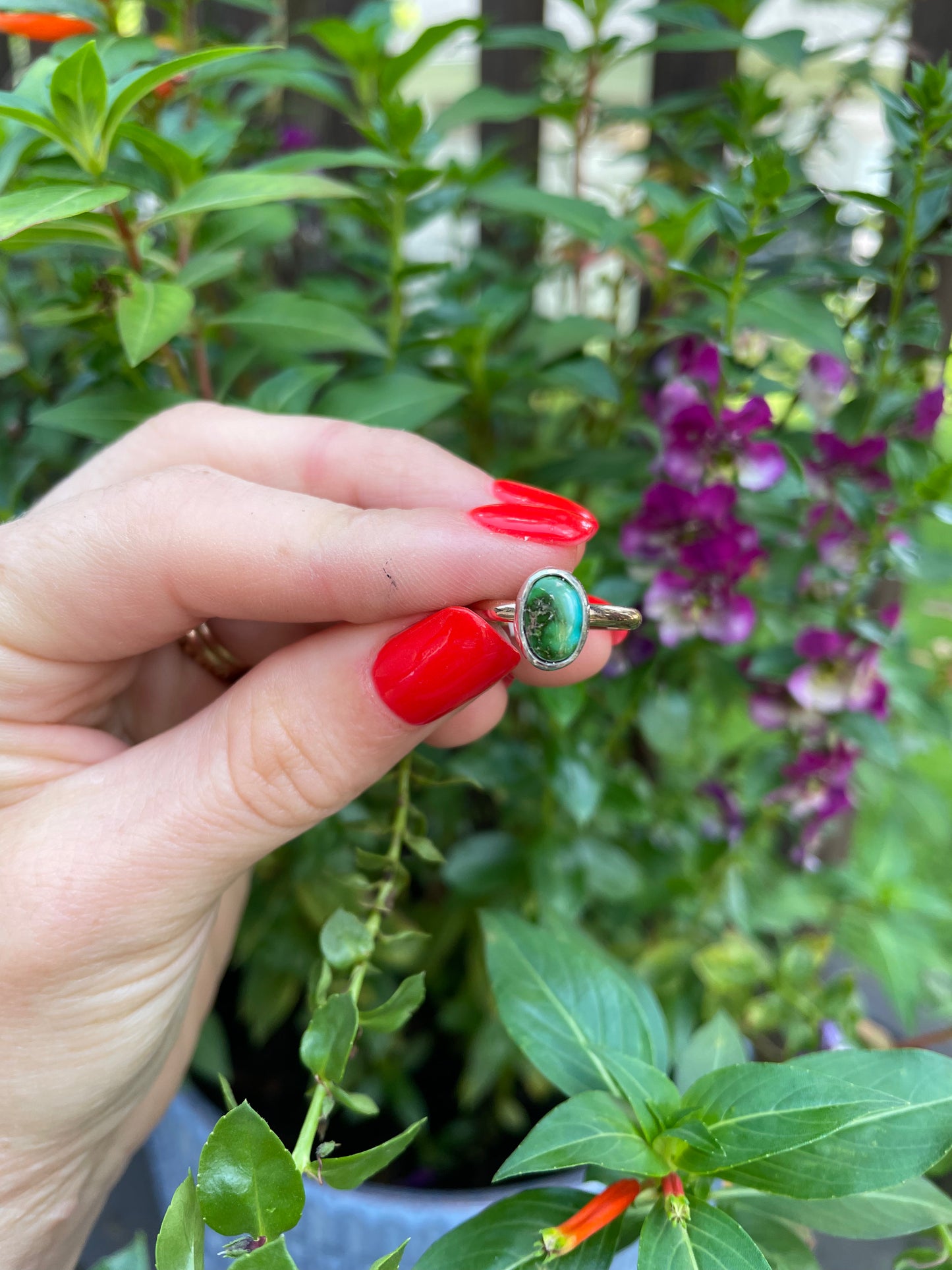 Sonoran Gold Turquoise Ring - Size 5 1/4