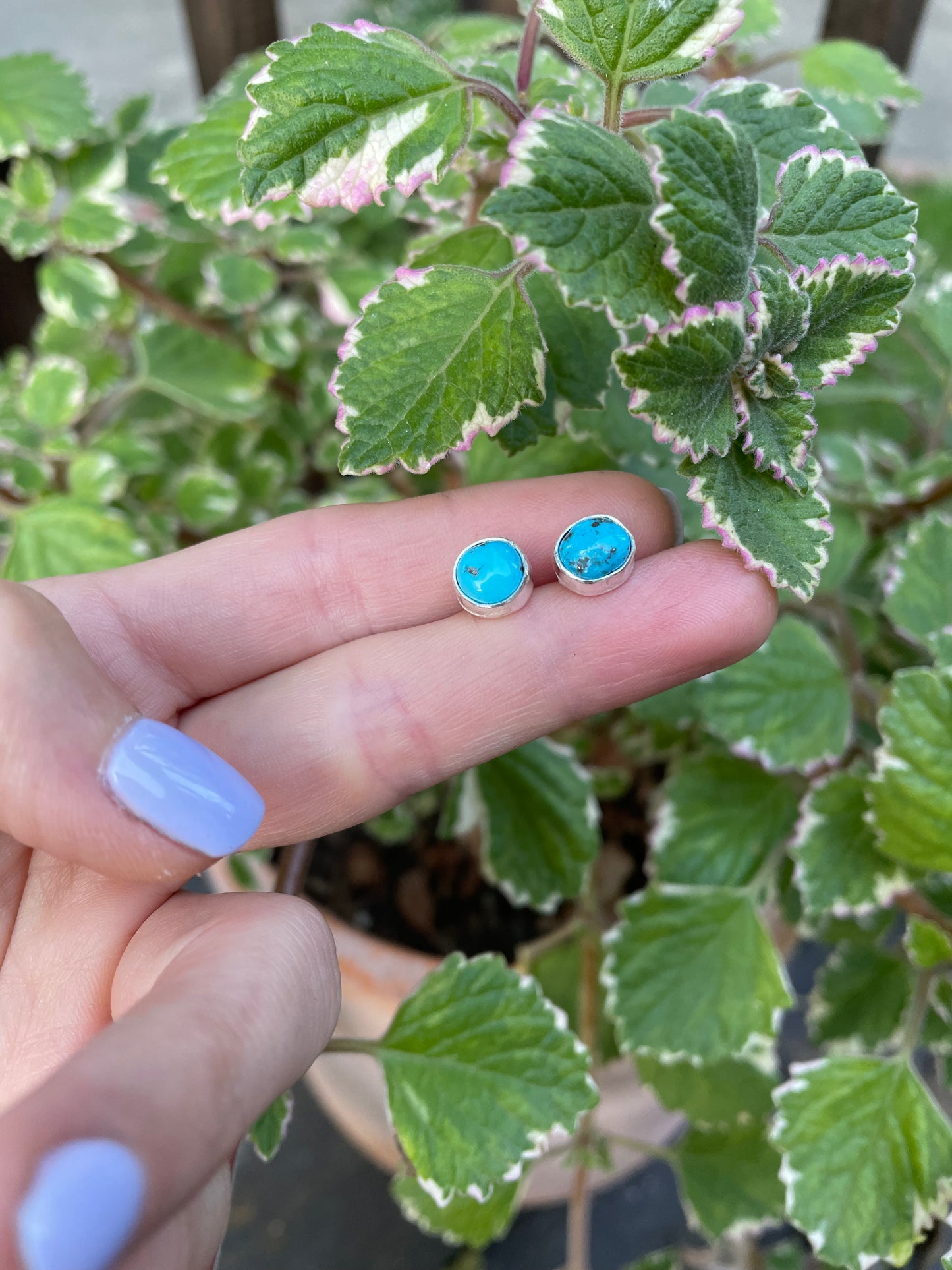 Simple Kingman Turquoise Studs