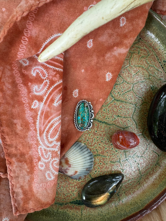 Patagonia Turquoise "Ripple" - You Call It no. 2
