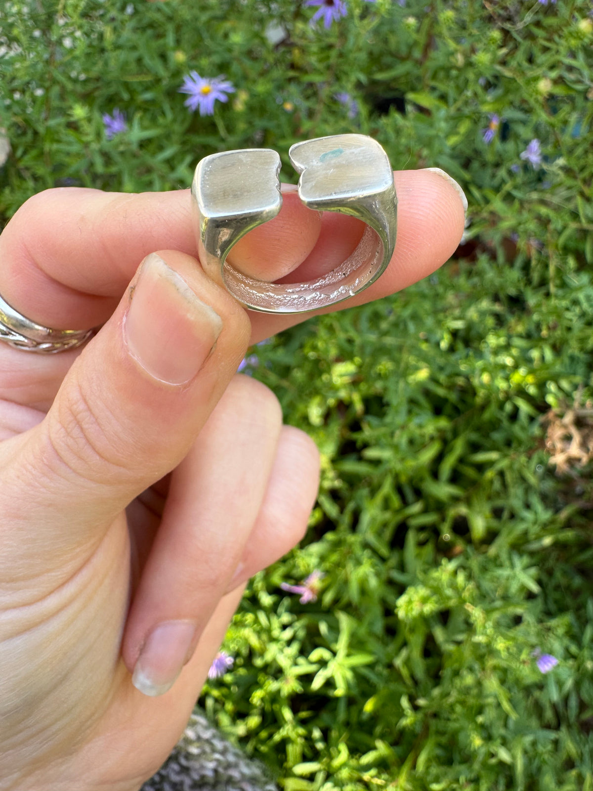Julian Signet Ring - Size 6