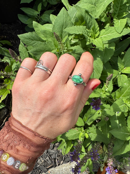 Sonoran Gold Turquoise "Waypoint" Ring - Size 8