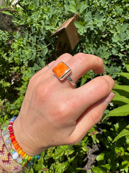 Spiny Oyster ring - size 10