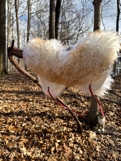 Cream Wool Collar - pink neck ties