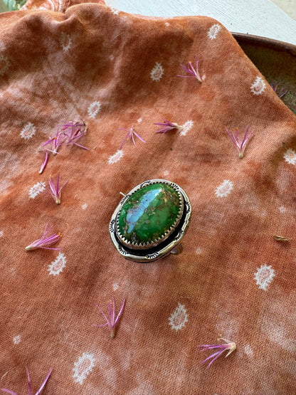 Sonoran Mountain Turquoise ring - size 6 1/2