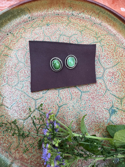 Sonoran Gold Turquoise studs no.1