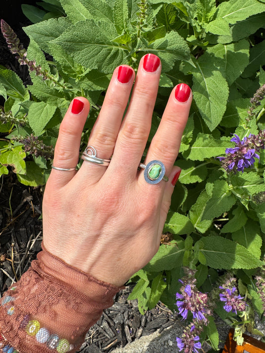 Sonoran Gold Turquoise "Hat Creek" Ring - Size 11 1/2