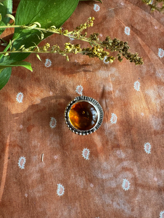 Amber Ring - Size 6 1/4