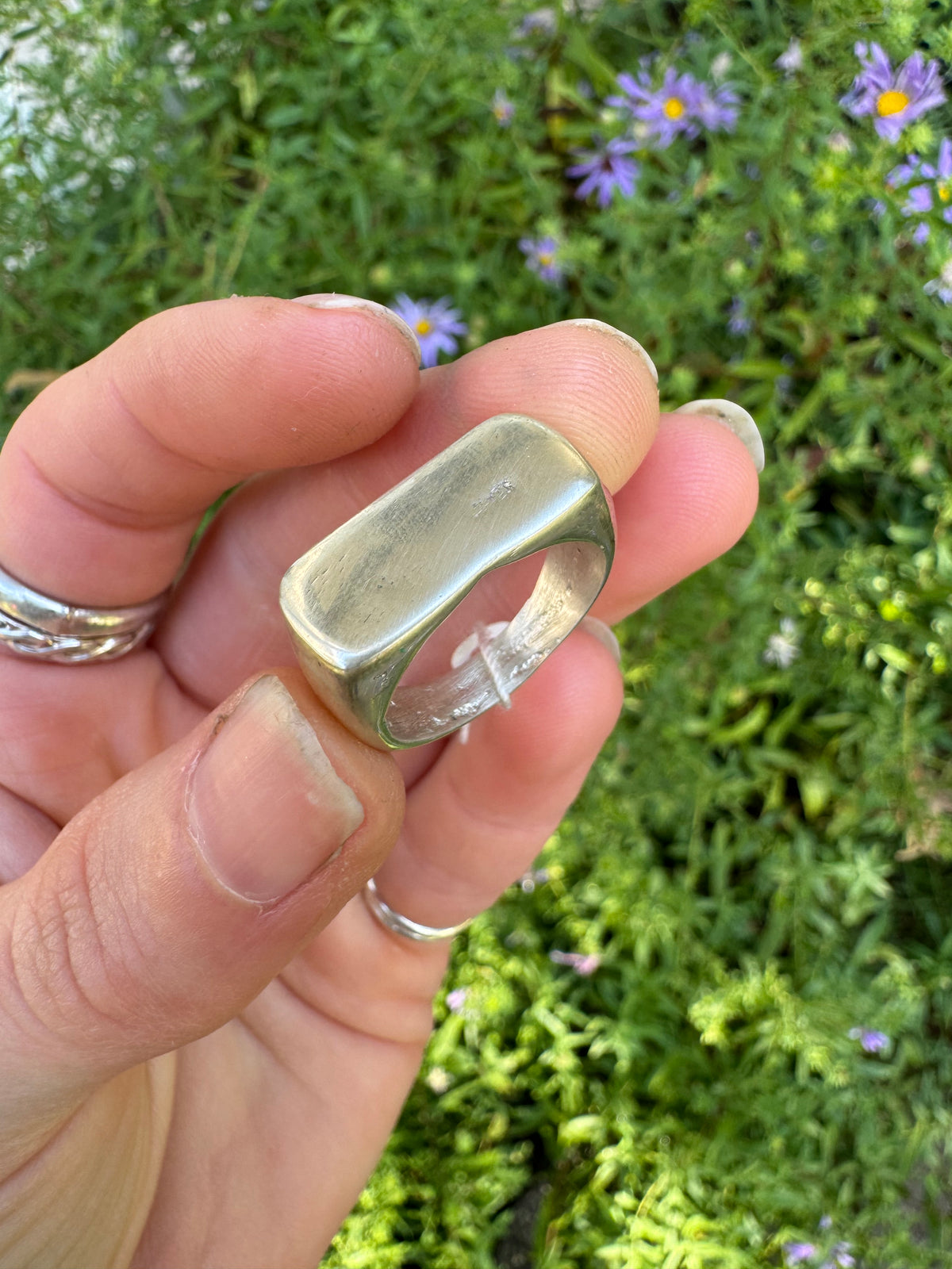 Julian Signet Ring - Size 7