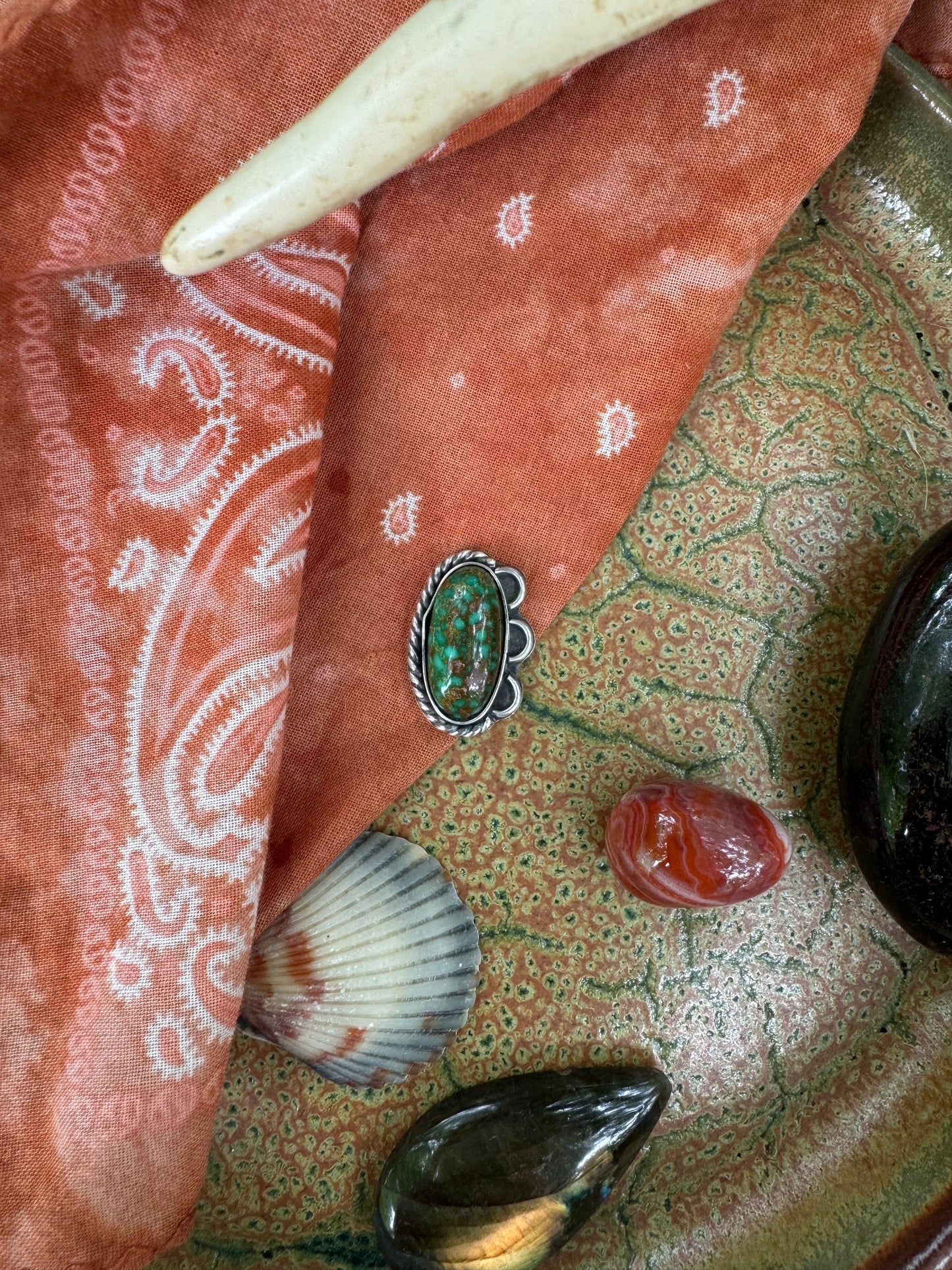 Patagonia Turquoise "Ripple" - You Call It no. 1