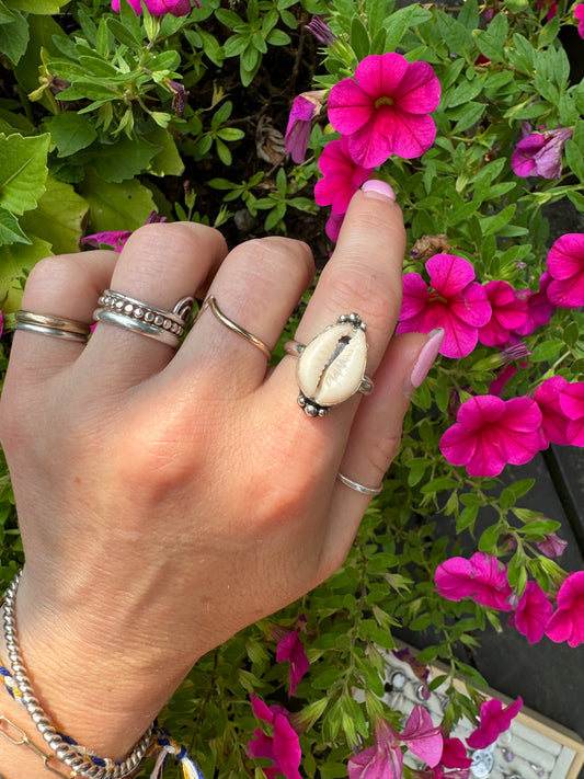 Cowrie Shell Ring no. 3 - Size 6 1/4