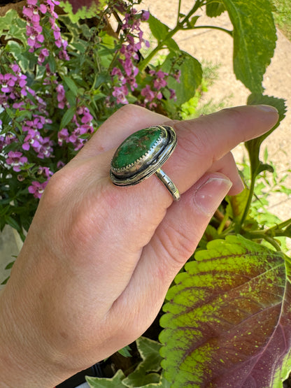 Sonoran Mountain Turquoise ring - size 6 1/2
