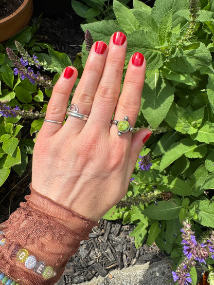 Verde Valley Turquoise "Waypoint" Ring - Size 8