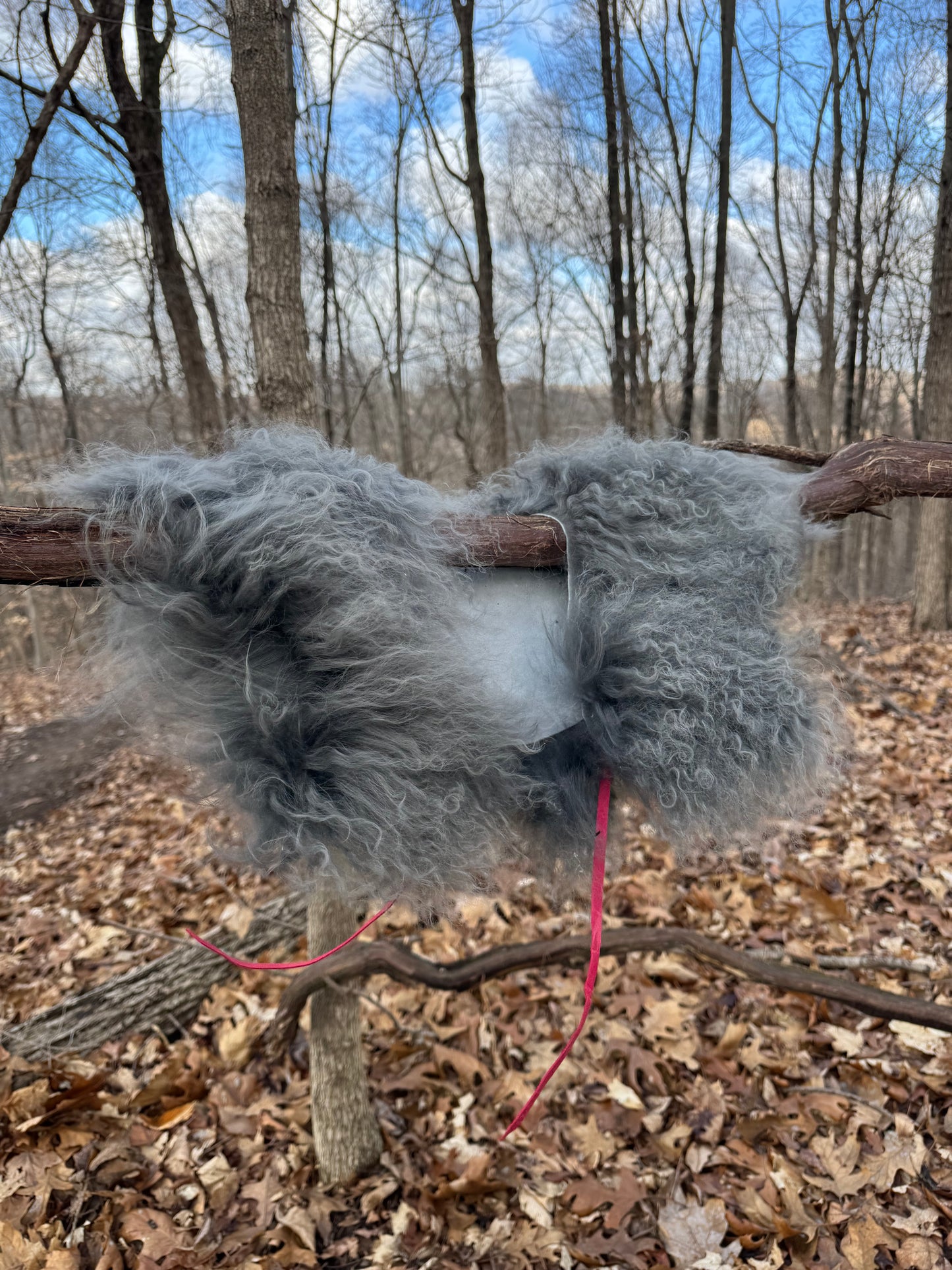 Grey Curly Wool Collar - Pink neck ties