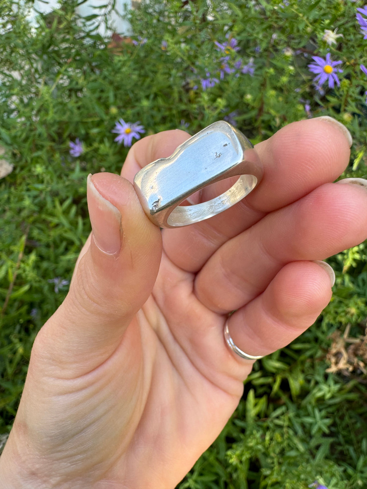 Julian Signet Ring - Size 9